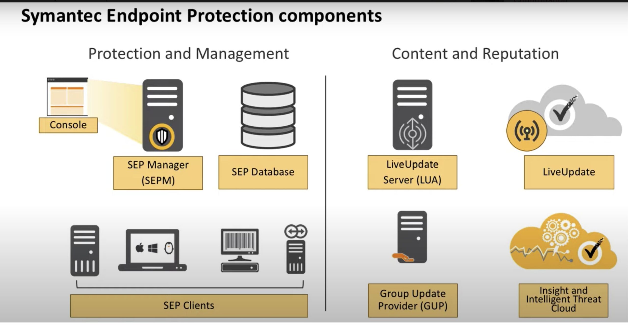 symantec sep